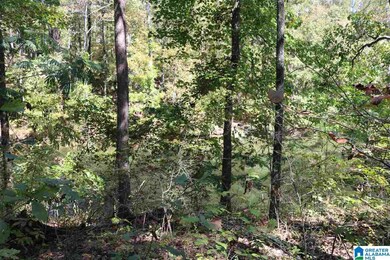 41 Fisher Way unit 41, Vincent, AL 35178 - photo 6