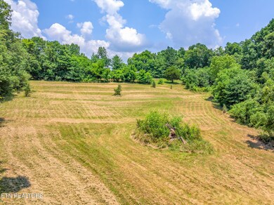 15-web-or-mls-449 Kodak Road-13