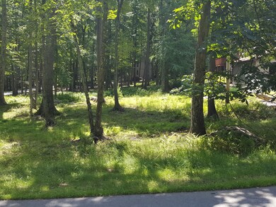 197 Fawn Lake Dr, Lackawaxen Township, PA 18428 - photo 6