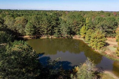 125 Amis Rd, Texarkana, TX 75501 - photo 3