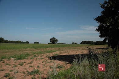 Union Valley Rd, Terral, OK 73569 - photo 6