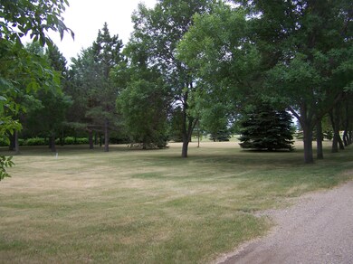 backyard<|><|>