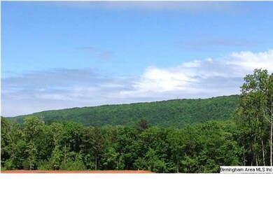 Gorgeous mountain views