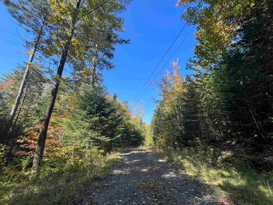 1726 Nh Route 118, Dorchester, NH 03266 - photo 3