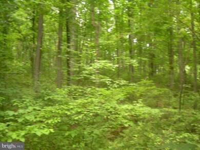 0 Cannon Ridge Ln unit 1004512532, Middleburg, VA 20117 - photo 3