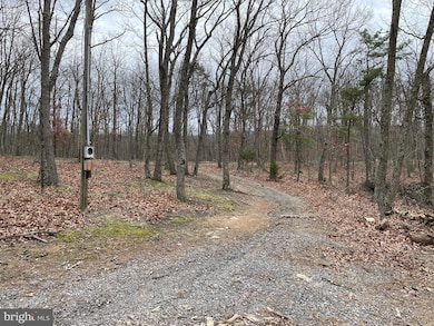 9.50 AC Bird Ridge Rd, Springfield, WV 26763 - photo 4