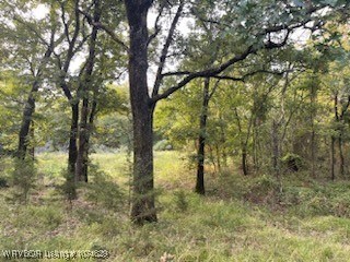 100990 S 4705 Rd, Muldrow, OK 74948 - photo 3