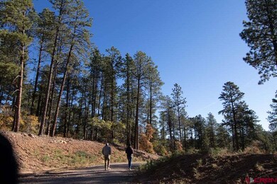 910 Red Canyon Trail, Durango, CO 81301 - photo 4
