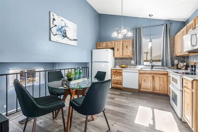 4214 S Fundy Way, Aurora, CO 80013 - photo 7