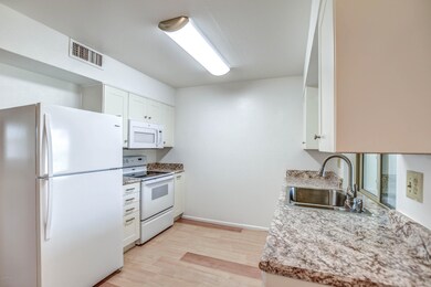 11124 W Emerald Dr, Sun City, AZ 85351 - photo 6