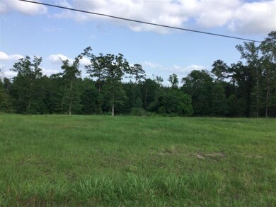 0 Stanley Rd unit SWL25102343, Leesville, LA 71446 - photo 2