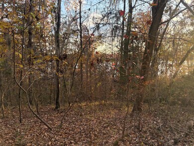 106a Calico Ct, Alberta, AL 36720 - photo 6