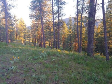 Views back to lower undeveloped lots