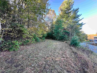 TBD Shelor Rd, Meadows of Dan, VA 24120 - photo 6