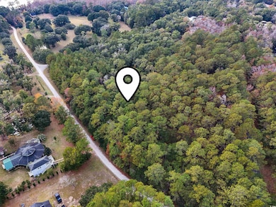 7 Santee Landing Rd, Georgetown, SC 29440 - photo 3