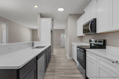 254 Dalton Dr, Lumber Bridge, NC 28357 - photo 6