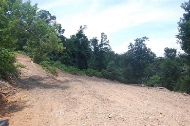 0 Brannan Mountain unit 1029397, Elkins, AR 72727 - photo 6