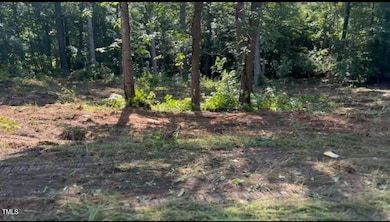 Lot 24 Turtle Hill Ct, Roxboro, NC 27573 - photo 2