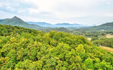 Additional View