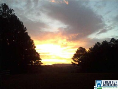Morning sunrise