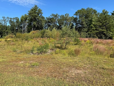 4 Fitch Farm Way, Southampton, MA 01073 - photo 3