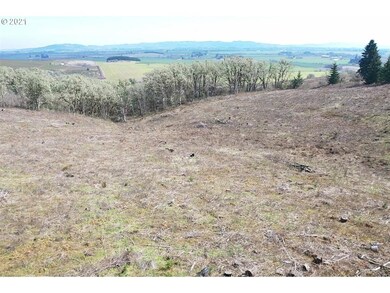 0 Red Hawk Ln unit 3 21170025, Sheridan, OR 97378 - photo 3