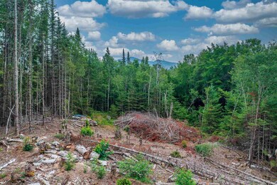 000 Maple Dr, Carroll, NH 03574 - photo 2