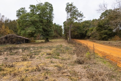 7 Lot E County Road 682, Coffee Springs, AL 36318 - photo 6