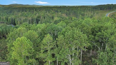 LT 272 Highgrove Dr, Talking Rock, GA 30175 - photo 6