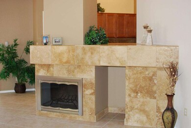 FIREPLCE STONE