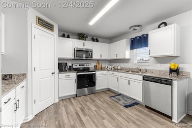 10851 Lakeview Dr, Taylor, MI 48180 - photo 5