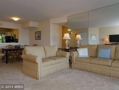 2024 Quay Village Ct unit T2, Annapolis, MD 21403 - photo 6