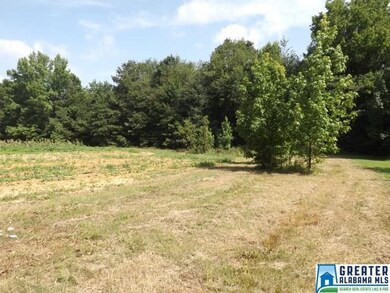 More of this property could be fenced for horses o