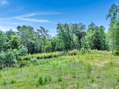 LOT 22 Grand Vista Pointe, Bremen, AL 35033 - photo 7