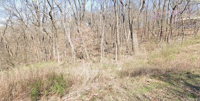 Lot 3 Pyramid Ln, Holiday Island, AR 72631 - photo 4