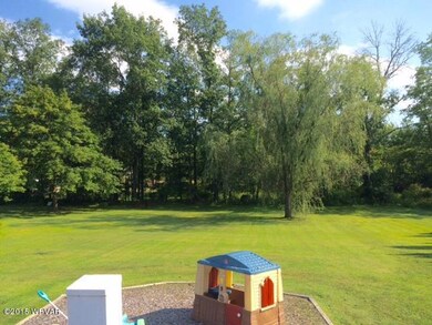 Grose back yard 1