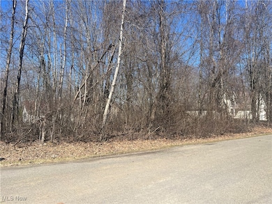 2455 Plum Creek, Roaming Shores, OH 44084 - photo 2