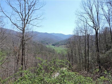 393 Grassy Knob Trail, Burnsville, NC 28714 - photo 5