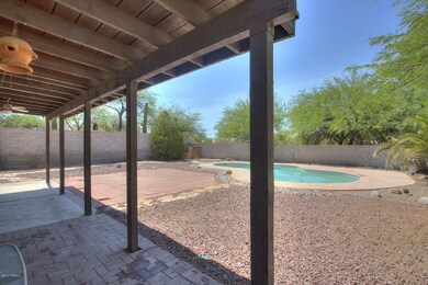 Back Yard 2