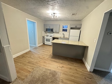 301 E Dumble St, Alvin, TX 77511 - photo 6