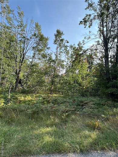 LOTS 1818 and 1819 Falcon Way, Otsego Lake Township, MI 49735 - photo 3