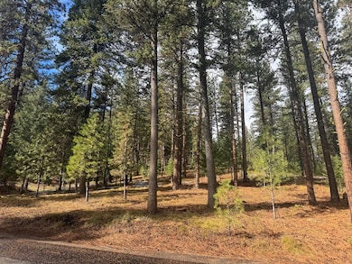 TBD Sorrel Dr unit 21, New Meadows, ID 83654 - photo 7