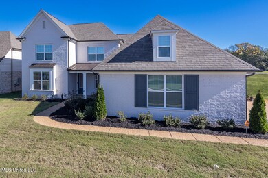 372 Fawn Grove Trail, Hernando, MS 38632 - photo 3