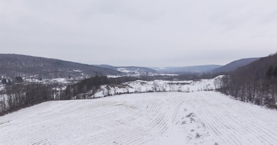 0 County Road 32 unit 22865075, Norwich, NY 13815 - photo 3