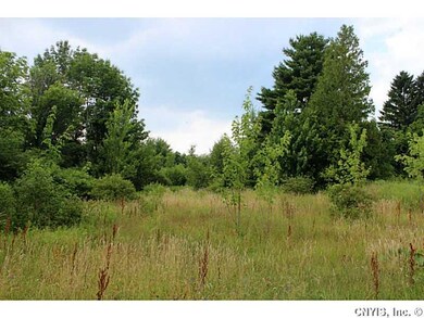 Land/Lot.