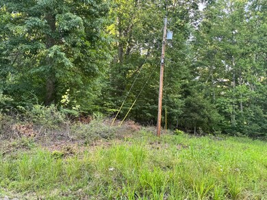 0 Irish Corner Rd, Summersville, WV 26651 - photo 7