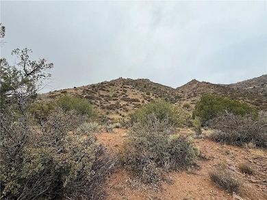 Purple Heart Trail, Kingman, AZ 86401 - photo 3