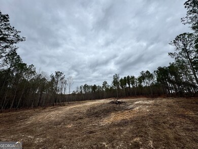 0 Bastonville Rd unit 10627311, Gibson, GA 30810 - photo 2