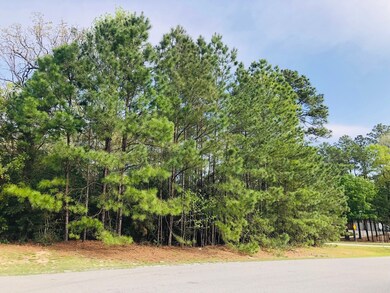 27319 E Benders Landing Blvd, Spring, TX 77386 - photo 4