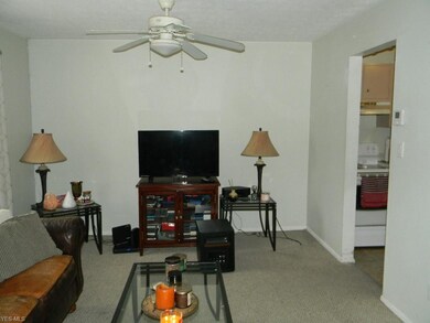 2051 Presidential Pkwy unit 32, Twinsburg, OH 44087 - photo 3